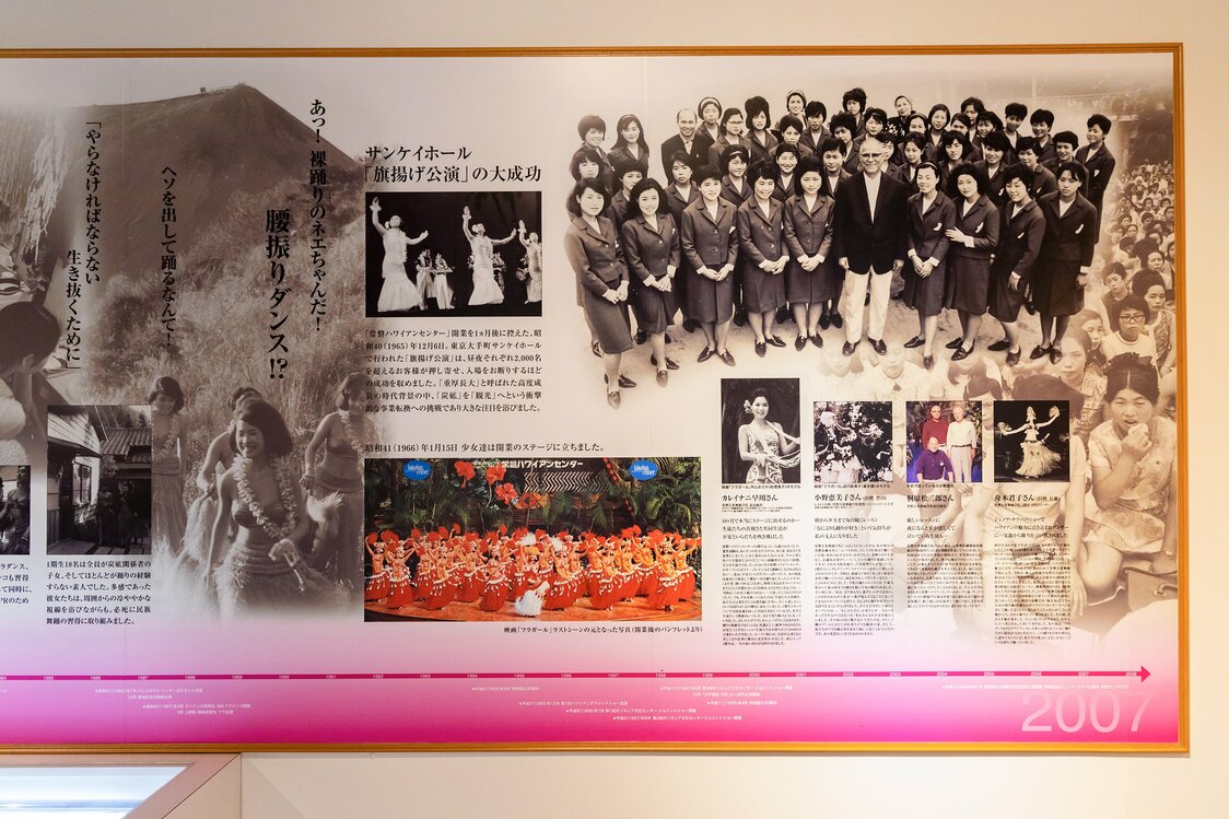 从照片中回顾扶桑花女孩们的足迹