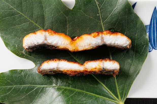Cross section of female (top) and male (bottom) kabayaki eel. Not only are females bigger, but the fat layering and meat quality are better. (Photo courtesy of the Consortium for New Market Development of Large Female Eels)