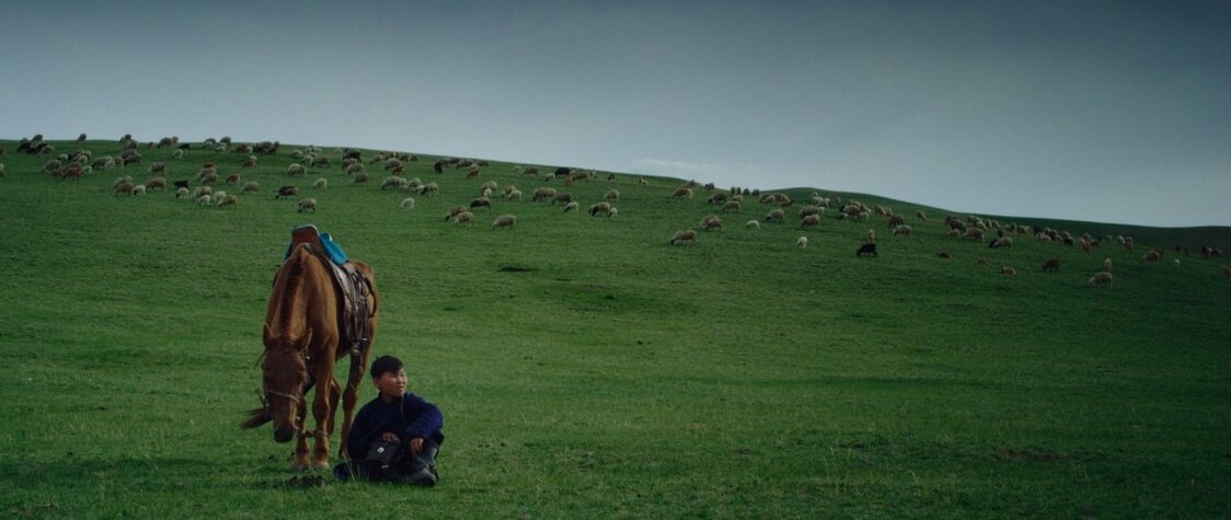 映像作家・柿本ケンサク、リモート撮影で地球の果てへ：コロナ渦で短編映画プロジェクト『+81FILM』に挑んだ理由