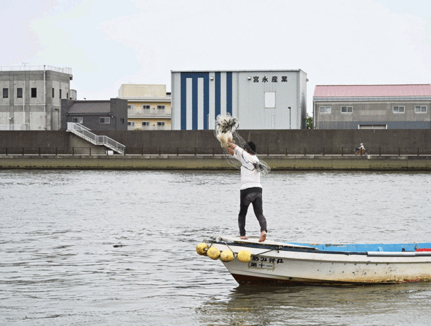 細川流投網は力任せではなく、遠心力を使って網を打つ。網がきれいに開いた状態で着水するのがプロの技だ