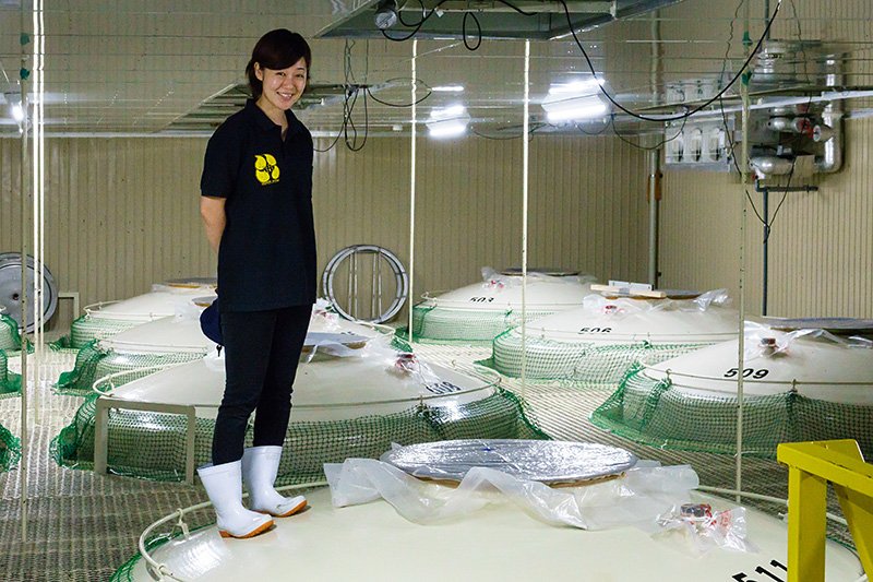 筑前引导记者参观了酿造桶和贮藏库