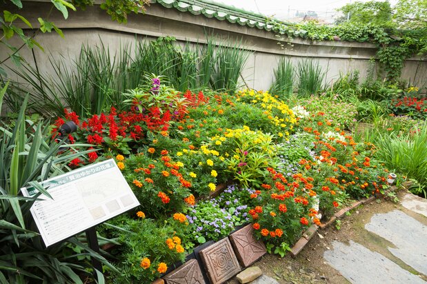弥足珍贵的庭园，保留着贤治亲自建造的花坛（图片提供：茶寮花坛）