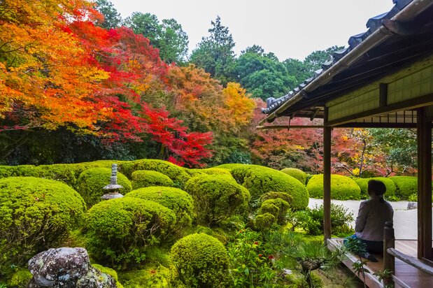 El jardín de Shisendō, una villa de retiro construida por Ishikawa Jōzan, vasallo de Tokugawa Ieyasu. (Distrito de Sakyō, ciudad de Kioto. 2016, Jiji)