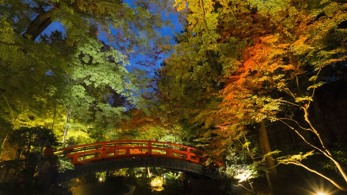 Autumn foliage surrounding Uguisukyō (the nightingale bridge) spanning the Kamiya River.