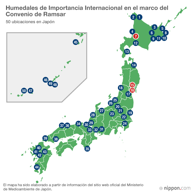 Los ánsares que surcan el cielo de Japón (2)