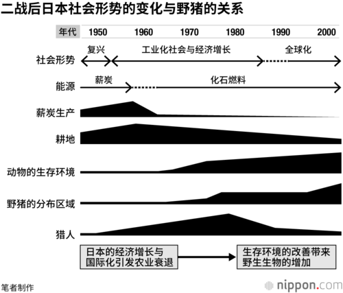 由于二战后的能源革命和农民弃耕等原因,野猪的栖息地增加,其分布区域迅速恢复