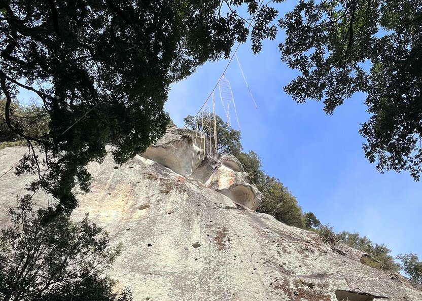 Tres pendones ornamentales o minagare no hata cuelgan de una cuerda que va desde la parte superior de la pared sagrada hasta un pino en los terrenos del santuario. (Fotografía de Kitazaki Jirō)