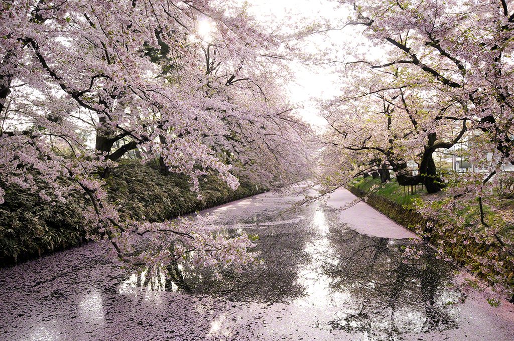 Hirosaki Park, Hirosaki, Aomori Prefecture