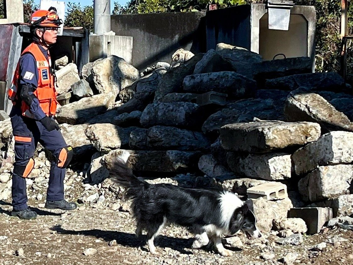 訓練を重ねハンドラーと救助犬の信頼関係は深まる
