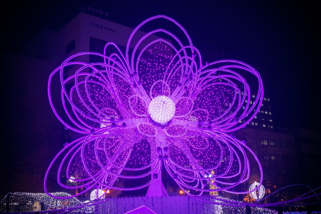 さっぽろホワイトイルミネーション：夜の札幌を彩る冬の風物詩【動画】