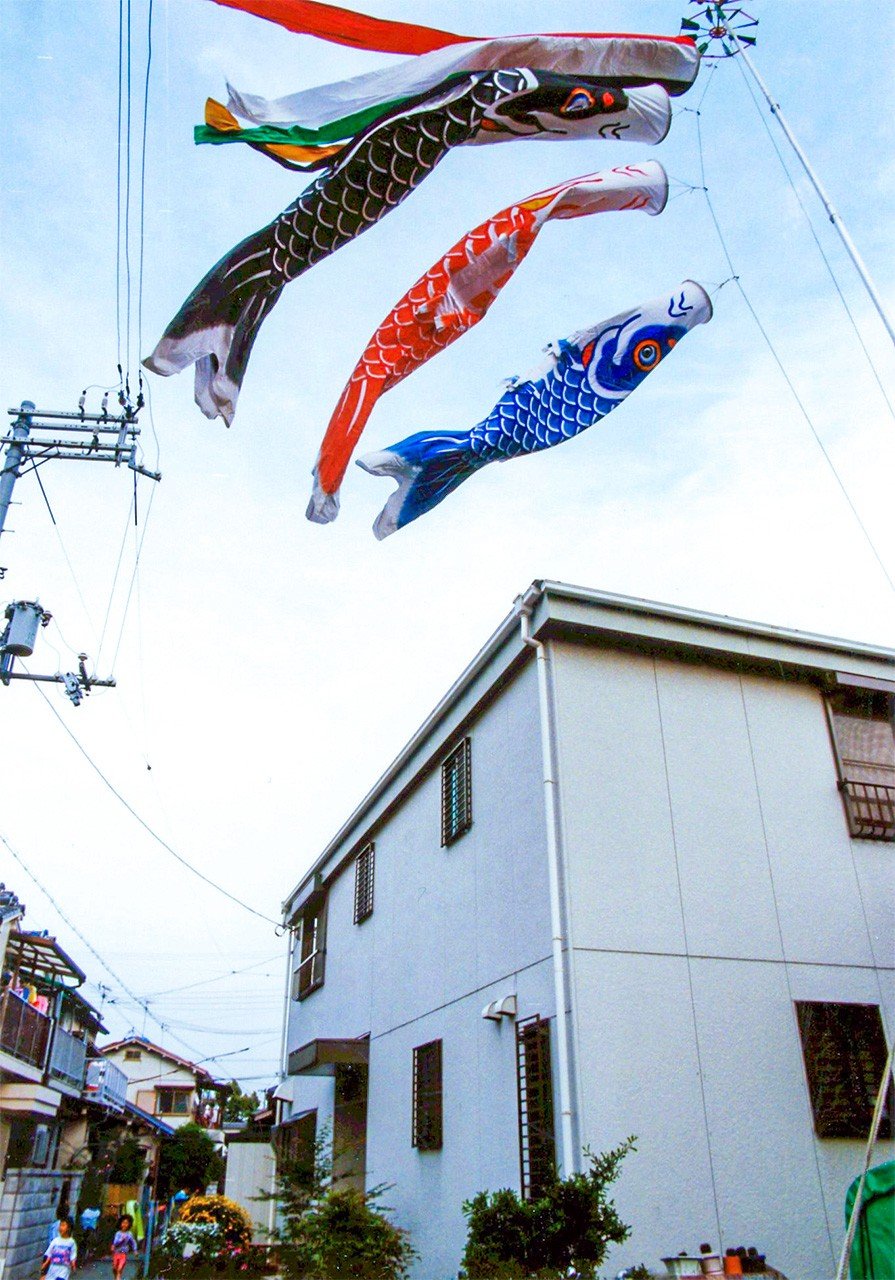 Koinobori en una casa particular. (Pixta)