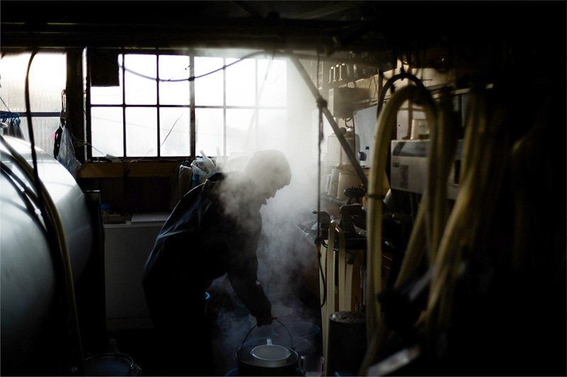 Sanpei Keiko ocupada en su trabajo matutino poco después de poder retomar la venta de leche tras el accidente nuclear, el 26 de diciembre de 2011. Cortesía de Kōriyama Sōichirō.