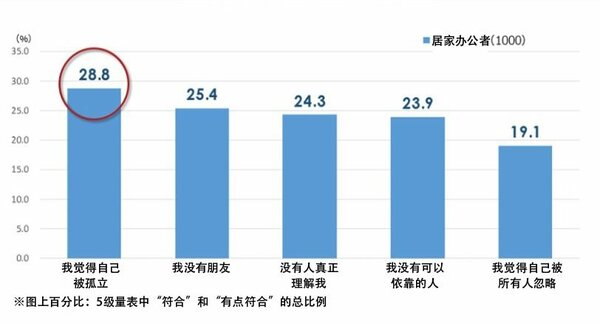 图4:居家办公者的孤独感