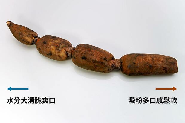 (PIXTA)