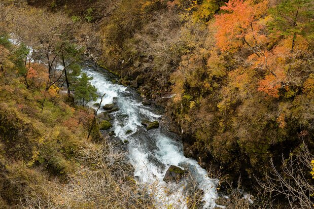 The steep-sided Kegon Gorge is a popular spot for foliage viewing.