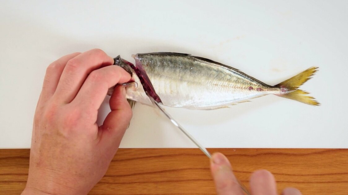 Japanese Seafood Culture: How to Fillet a Horse Mackerel
