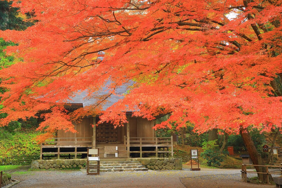 Templo de Chūsonji. (PIXTA)