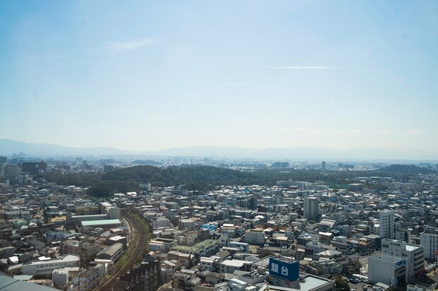 VLe mausolée de l’empereur Nintoku, semblable à une immense forêt abandonnée au centre-ville
