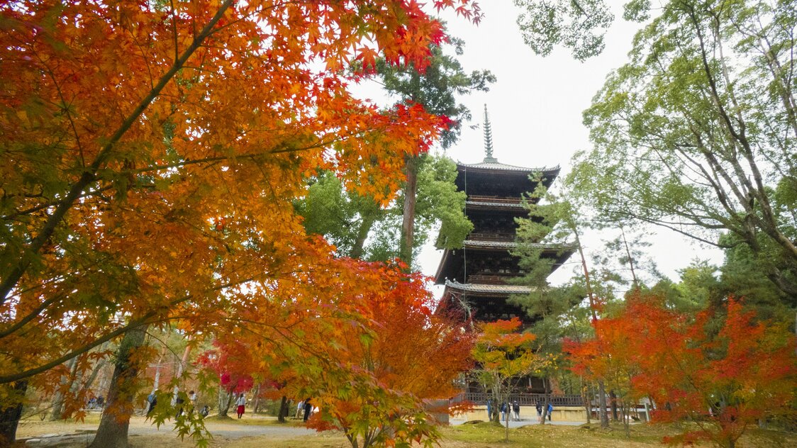 Gojūnotō, the temple’s five-storied pagoda, is an important national cultural asset.