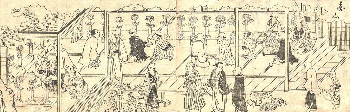 『花壇養菊集』は菊栽培のマニュアル書で、これは菊を品評している様子を描いた挿絵。国文学研究資料館所蔵