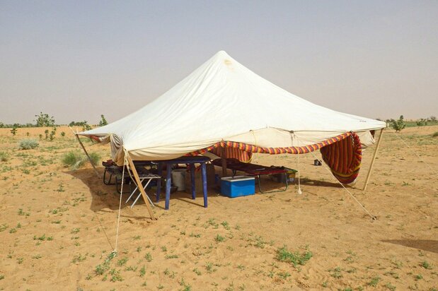 Una tienda de campaña proporciona refugio y sirve de base de operaciones para la investigación de campo de Maeno. (© Koutaro Ould Maeno)