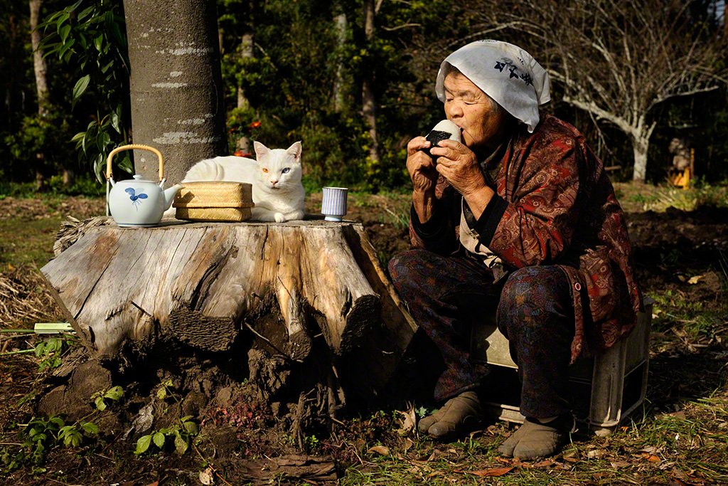 [Фото] Бабушка и кот: радость каждого дня