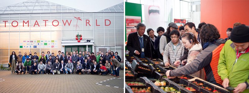 Participantes del Proyecto del centro de formación Nōgyō Fukkō aprenden conceptos sobre la producción en invernaderos en los Países Bajos. (Foto gentileza de Umari Inc.)