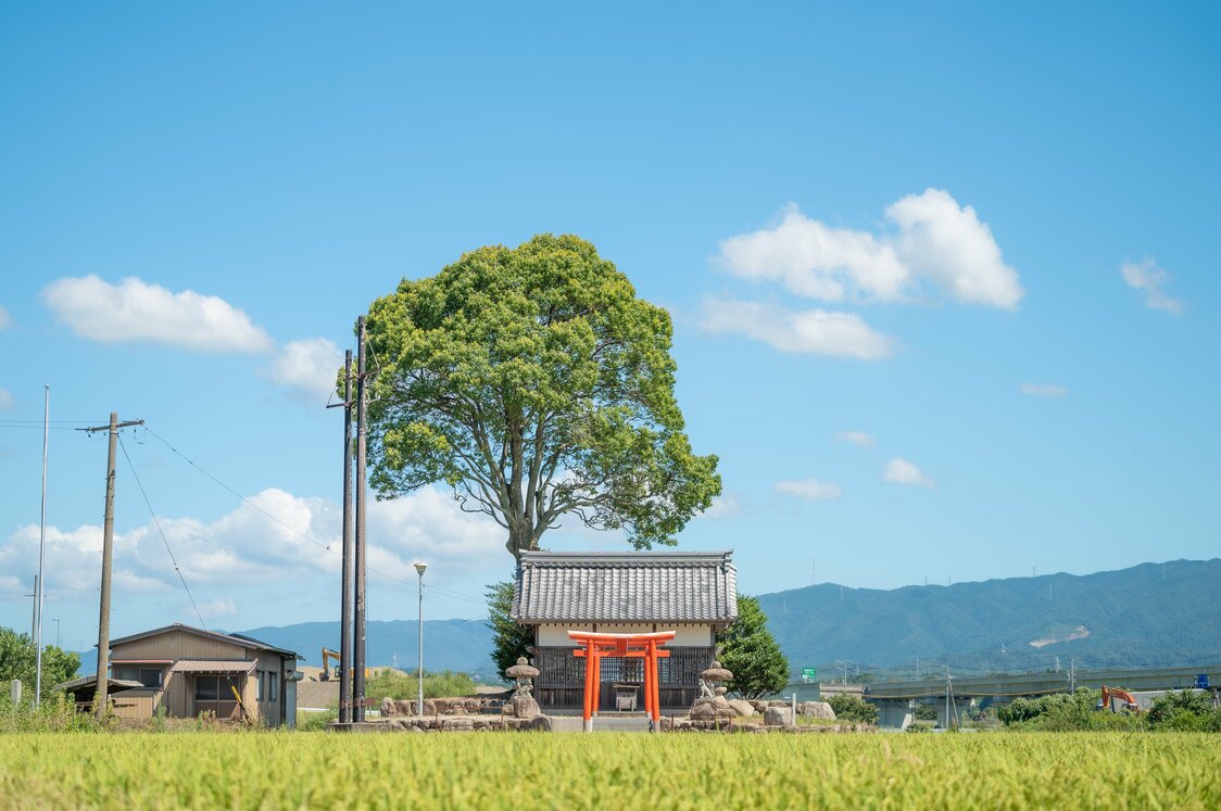 撮影：TOYOP