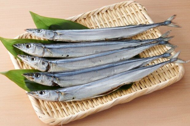 Sanma maru-boshi, balaou du Pacifique séché entier, de la préfecture de Mie. (Avec l'aimable autorisation du ministère de l'Agriculture, des Forêts et de la Pêche)