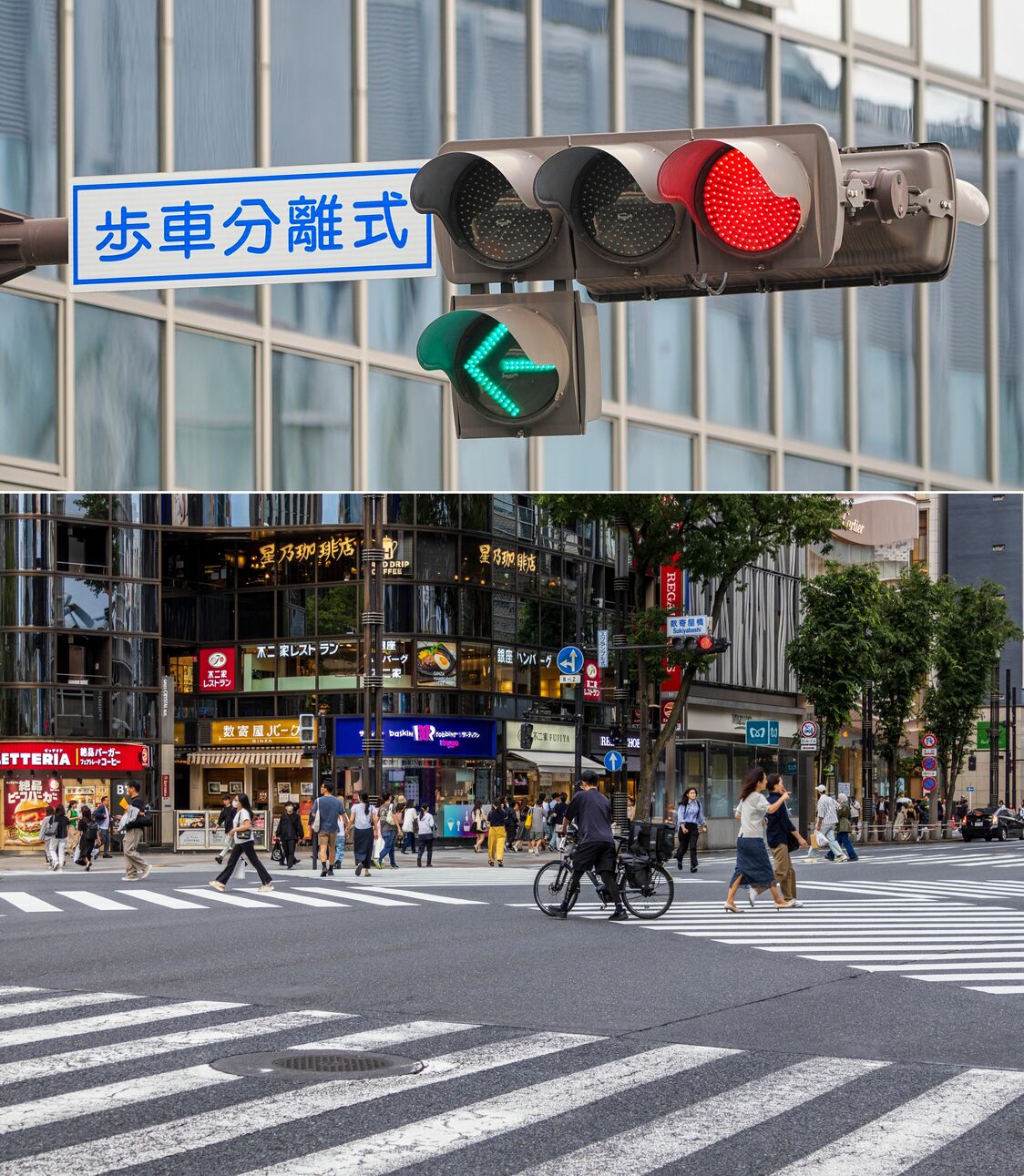 “行人与车辆分离式信号”数量约为5%（photoAC）。全向十字路口也是其中一种，斜穿人行道时应下车推行