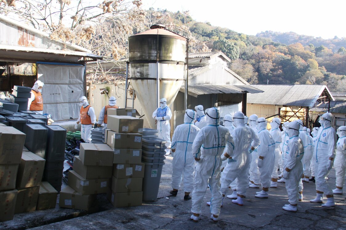 鳥インフルエンザの発生を受けて鶏の殺処分を開始した和歌山県紀の川市の養鶏場＝和歌山市提供（時事）
