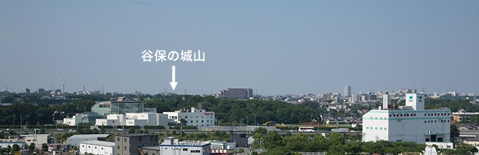 【Photos】雑木林へ、ようこそ！
