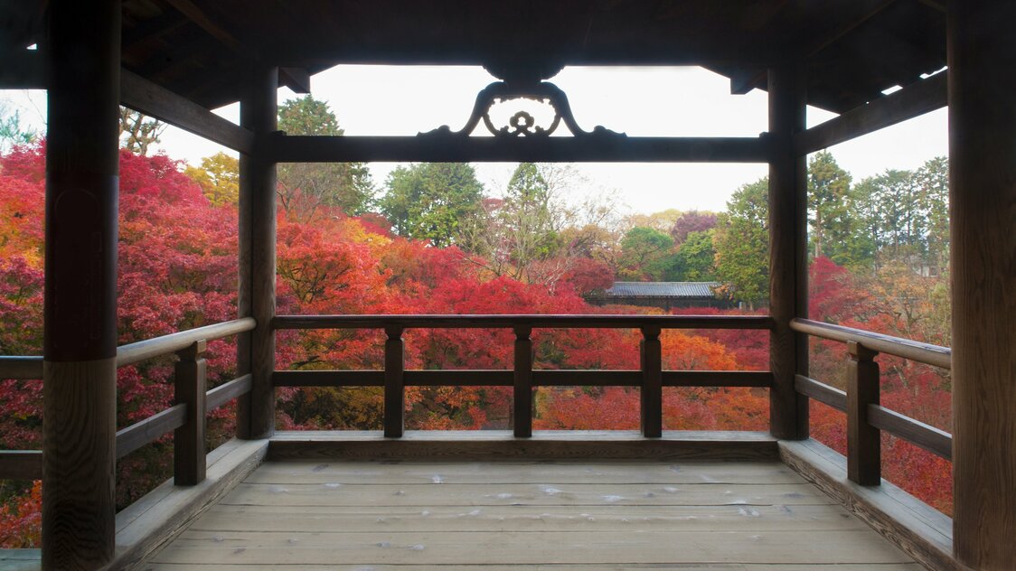 The autumn foliage around the Gaunkyō bridge as seen from the observation deck of another covered bridge on the temple grounds, Tsūtenkyō.