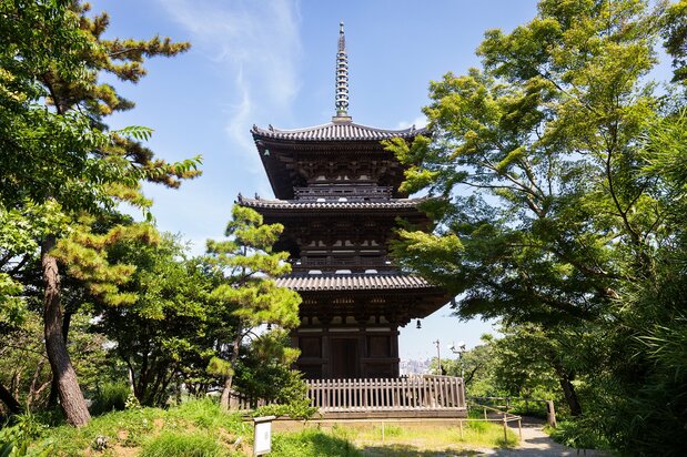 丘の上に登ると、旧燈明寺三重塔が間近に眺められる