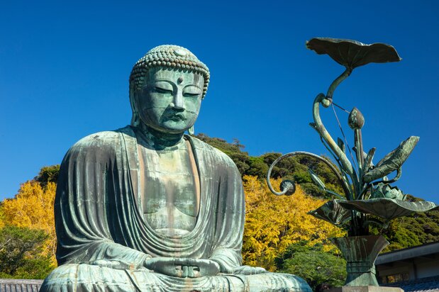 イチョウの黄葉を背にした秋景色 写真=原田寛