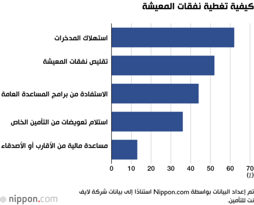 كيفية تغطية نفقات المعيشة