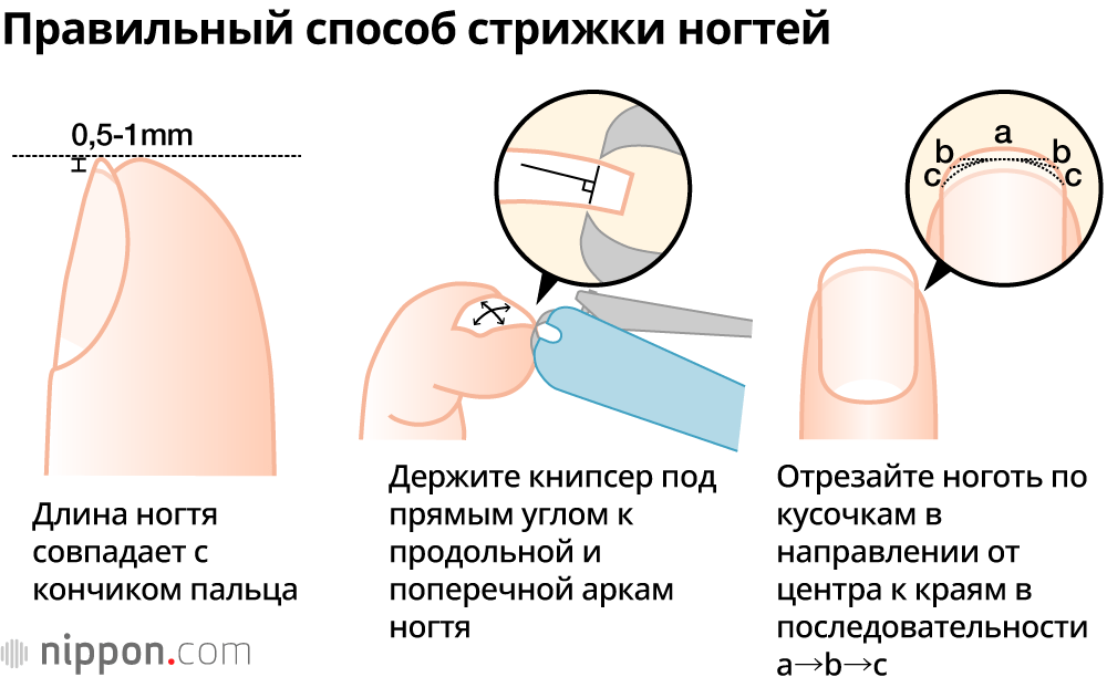 Правильный способ стрижки ногтей