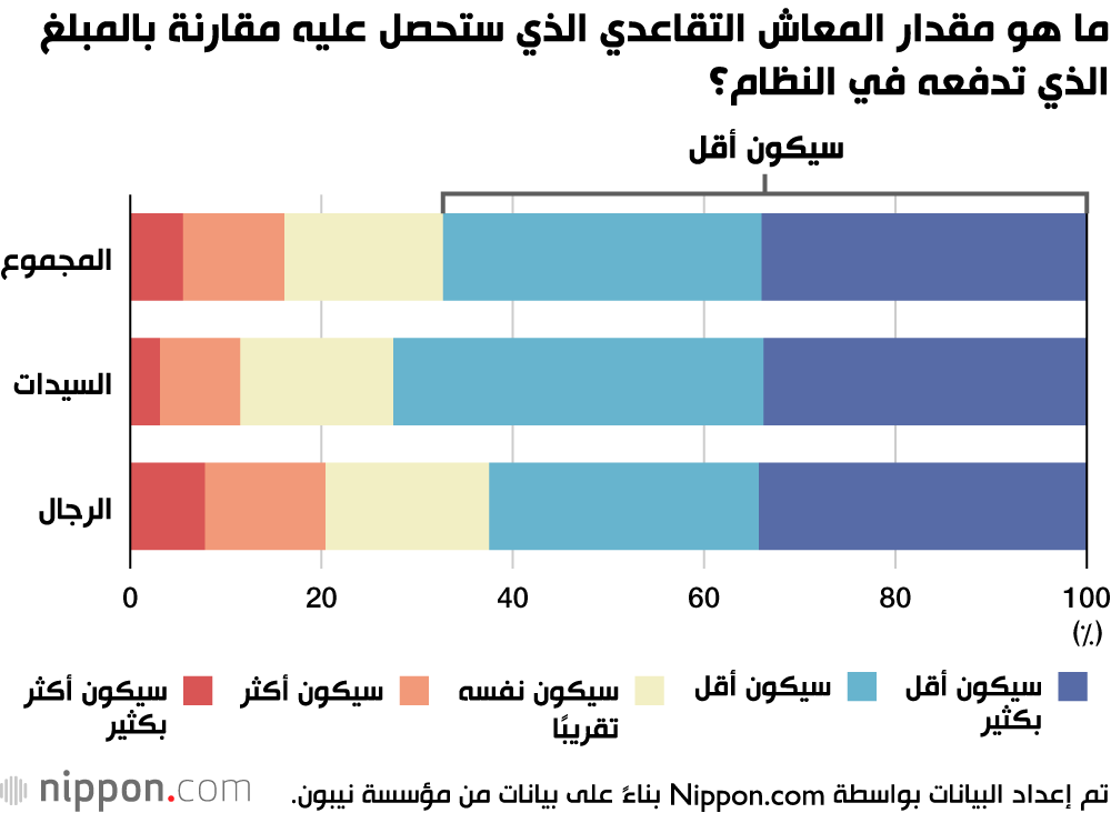 ما هو مقدار المعاش التقاعدي الذي ستحصل عليه مقارنة بالمبلغ الذي تدفعه في النظام؟