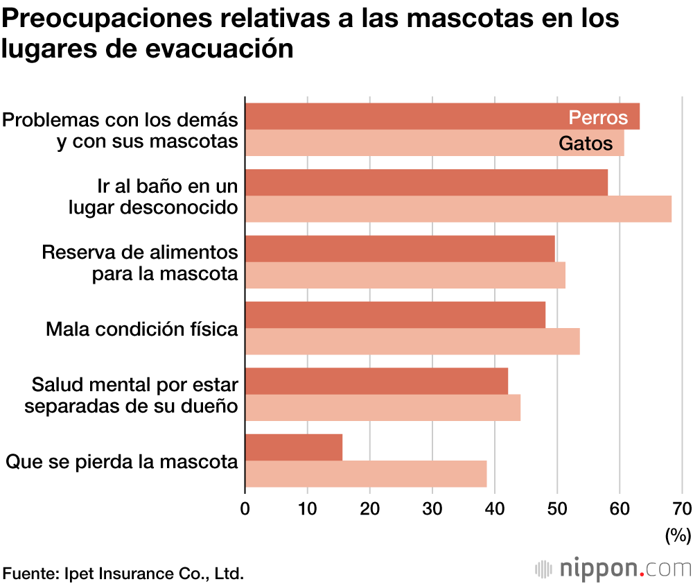 Solo el 20 % de los japoneses toma medidas preventivas para sus mascotas en caso de desastre