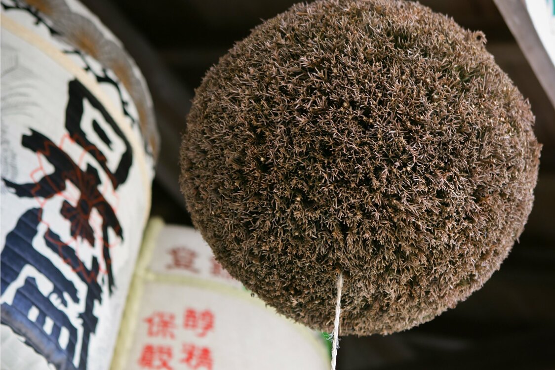 标志性杉球