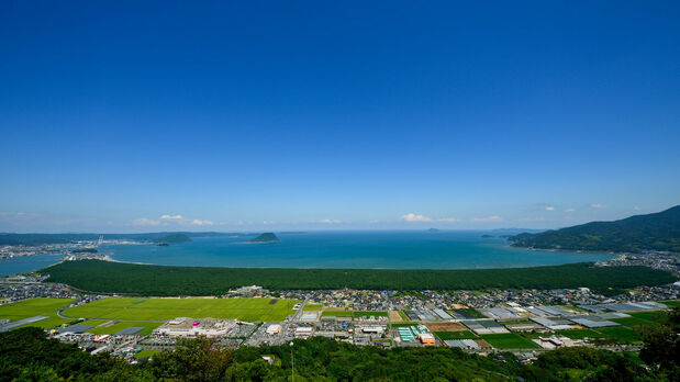 Vue sur la forêt des pins noirs de Niji no matsubara