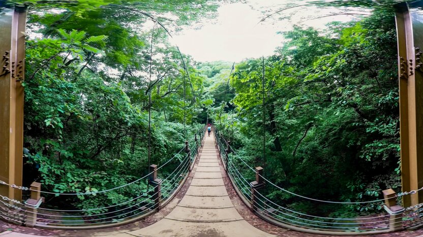 登山コースは複数あるが、唯一のつり橋「みやま橋」を渡る4号路はハイカー人気が高い