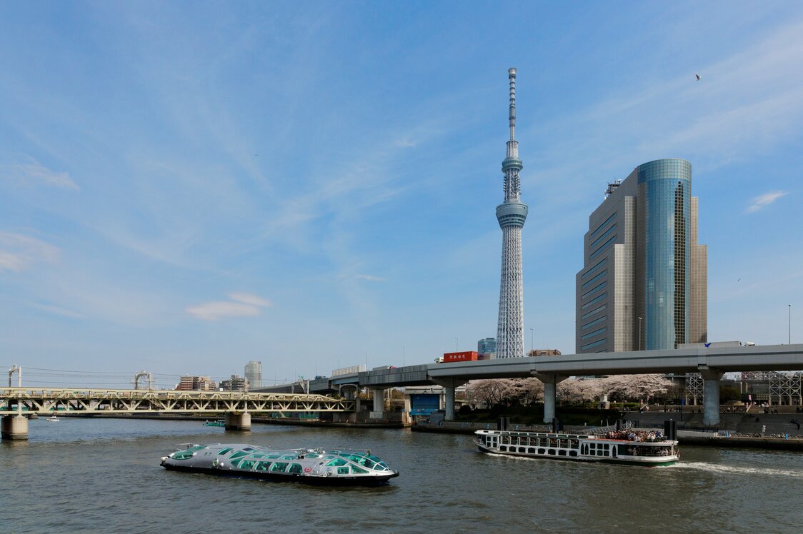La contemplación de las flores desde un barco en el río Sumida, con la torre Tokyo Skytree en el fondo. (© Pixta)