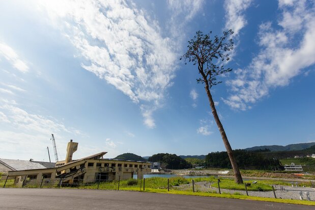 「奇跡の一本松」と津波に飲み込まれた陸前高田ユースホステルの遺構　写真：ニッポンドットコム