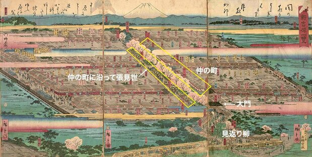 見返り柳と大門、門をくぐった先に伸びるメインストリートが仲の町で、道の両側に張見世があった。見返り柳は、吉原で遊んだ男たちが、名残りを惜しんで振り返ったことから名付けられたという『東都新吉原一覧』東京都立中央図書館特別文庫室