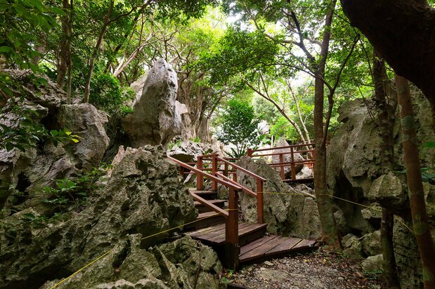 On the Wonder of Rocks Trail, visitors can view karst rock formations.
