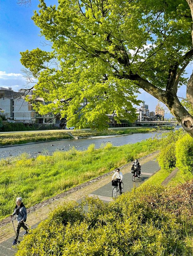 静谧的鸭川沿岸