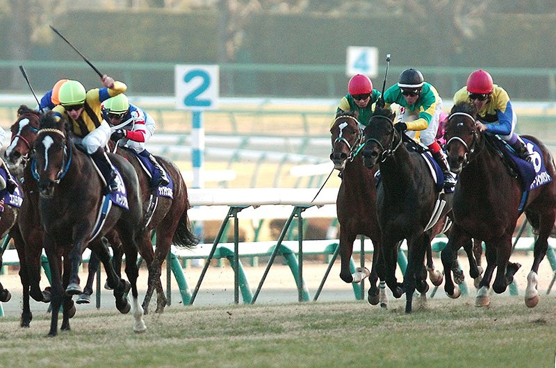 Christophe Lemaire (2e cheval à partir de la gauche, rayures jaunes et noires) remporte le 50e Prix Mémorial Arima (G1) sur Heart’s Cry. À l’extrême droite, on aperçoit Deep Impact, monté par Take Yutaka, qui terminera 2e. Le 25 décembre 2005, à l’hippodrome de Nakayama, préfecture de Chiba (Jiji Press)