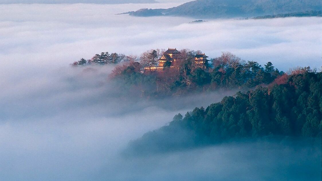 Le château de Bichû Matsuyama flotte dans les nuages au lever du jour. (Photo avec l’aimable autorisation de la Fédération du tourisme d’Okayama)