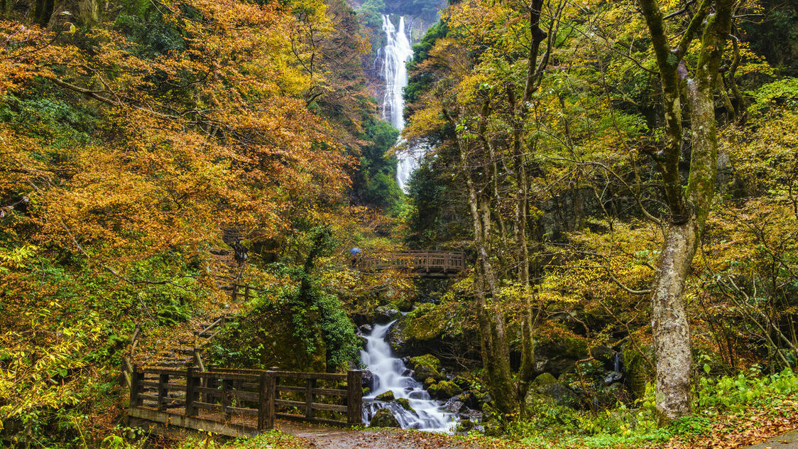 Singes sauvages, cascades et vallée aux couleurs dorées : la région d’Okayama en automne